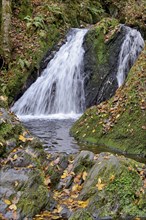 Waterfall in the wild Endert Valley, Moselle, Rhineland-Palatinate, Germany, Europe