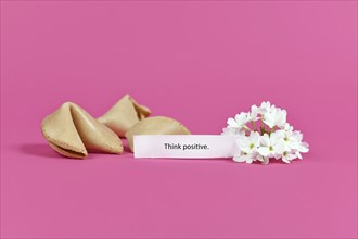 Positive thinking concept with fortune cookies with motivational text saying Think positive on pink