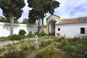 Church of the Third Order of Our Lady of Mount Carmel, Indoor Garden, Faro, Algarve, Portugal,