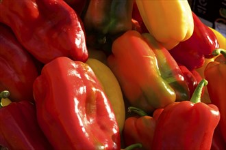 Red pepper (capsicum annuum), close, markets, open air, Palermo, capital, Sicily, Italy, Europe