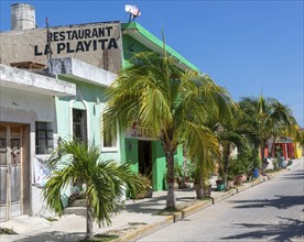 Palm trees on pavement of La Playita restaurant colourful buildings quiet village road, Celestun,