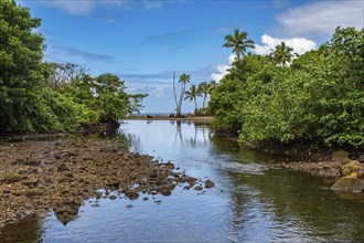 Little creek, Bouma National Park, Taveuni, Fiji, South Pacific, Oceania