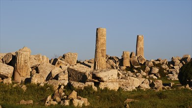 Column remains, Temple F, Athena Temple, Selinunte, Archaeological Site, Southwest Sicily, Sicily,