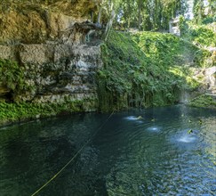 People swimming in Cenote Zaci carboniferous limestone swallow hole pool, Valladolid, Yucatan,