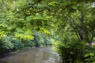 The River Ilm in Weimar at the park of the same name