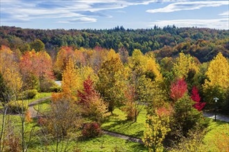 The Forest Botanical Garden Tharandt is an institution of the Technical University of Dresden and