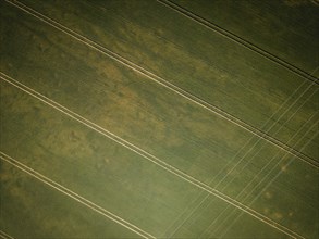 Landscape change through man. The dead-straight lines of a cultivated field are crossed by a power