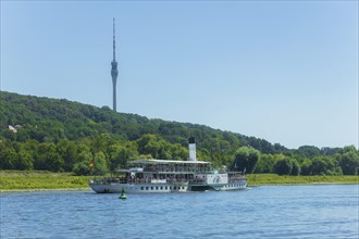 Steamship Dresden from 1926 of the Sächsische Dampfschifffahrtsgesellschaft on the Elbe at the