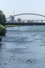 The Rhine between Strasbourg and Kehl seen from the garden of the two banks. Bas-Rhin, Collectivite