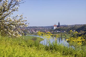 Elbe valley above Karpfenschänke. View of Meissen with Albrechtsburg Castle and Cathedral