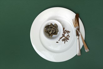 Spiced crickets and grasshoppers as snack on plate, insect snack