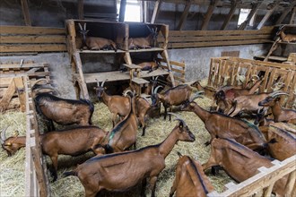 Winner of the Saxon State Competition for Animal-Friendly and Environmentally Compatible Husbandry