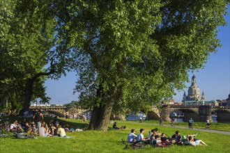 Neustädter Elbufer in Dresden