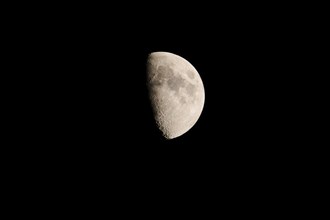 Half moon at night, Bavaria, Germany, Europe