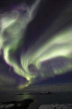 Northern Lights (Aurora borealis) in green and pink over the North Sea, Andoya, Vesteralen, Norway,