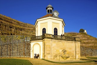 Wackerbarth Castle or Wackerbarths Ruh is a Baroque castle surrounded by vineyards in the