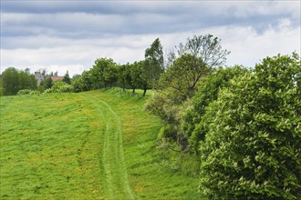 Fields near Pinkowitz