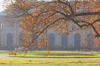 (Copyright Â©www.dresden fotografie.de) (Sylvio Dittrich +49 1772156417) Pillnitz Palace Park