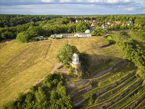 Wackerbarth Castle, originally Wackerbarths Ruh', is a Baroque castle surrounded by vineyards in