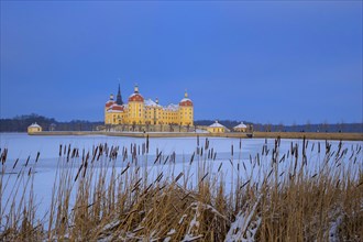 Moritzburg Baroque Palace in Winter