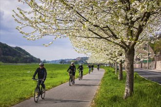 Elbe Cycle Route near Meissen