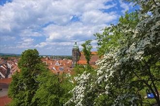 Pirna View of the old town from the Sonnenstein