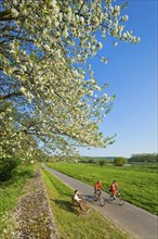 Diesbar Seusslitz Elbe cycle path