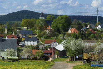 Village view Reinhardtsgrimma