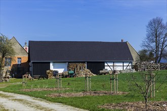 Village view of Nebelschütz in Lusatia