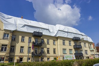 An apartment building in Bannewitz has a massive wood tick infestation despite renovation. The pest