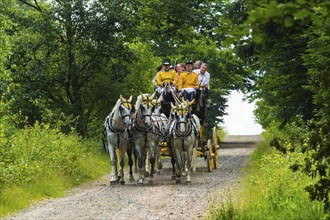 8th stagecoach meeting in Grillenburg