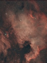 Diffuse Gas Nebula NGC7000, North America Nebula in the constellation Swan in the northern starry