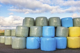 Colored silage bales in the countryside