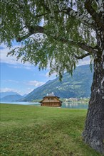 Birch meadow, house, Ossiach, Lake Ossiach, Carinthia, Austria, Europe