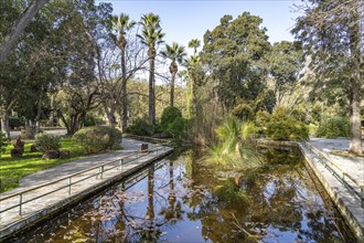 Pond in Nicosia Municipal Park, Nicosia, Cyprus, Europe