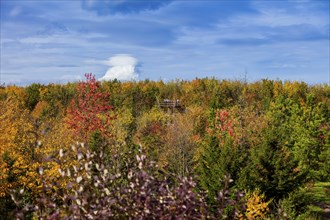 The Forest Botanical Garden Tharandt is an institution of the Technical University of Dresden and