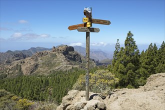 Signpost in Parque Rural del Nublo, Las Palmas Province, Gran Canaria, Canary Islands, Spain,