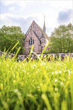 Historic monastery church with grass in the foreground, Hirsau, Black Forest, Germany, Europe