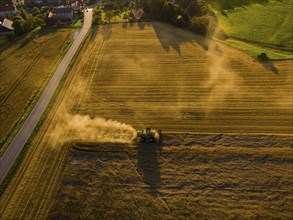 A combine harvester harvests a cereal forest