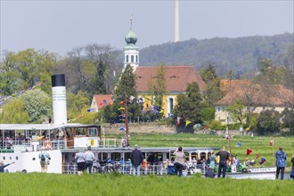 Steamship parade of the historic paddle steamers., in the background the Schifferkirche Maria am