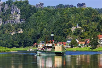 Elbe steamer Pillnitz in Rathen