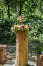 Urn burial, funeral, grave decoration, flowers, cemetery forest, memorial forest, East Frisia,