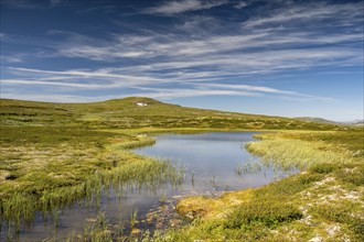 Lake in the landscape of the Hardangervidda plateau, Norway, Europe