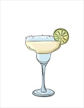 Margarita cocktail over white background, vector illustration