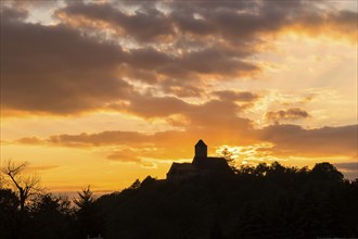 Schönfels Castle