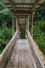 Bamboo bridge leading to the Unesco world heritage site, Tierradentro, Colombia, South America