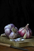 Fresh red garlic on chopping board, France, Europe