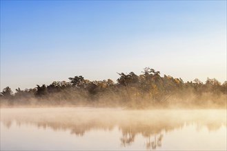 Morning mist by a forest lake in autumn