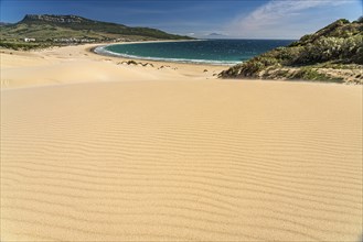 The beach and the dune of Bolonia, Tarifa, Costa de la Luz, Andalusia, Spain, Europe