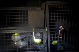 Hot training in the training container